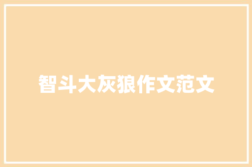 公告代码技术革新下的信息传递之路