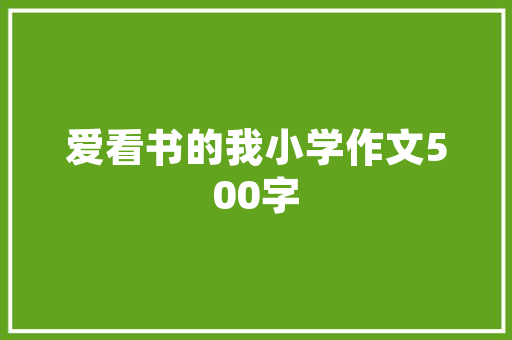 SEO领军者小琪介绍,如何打造高权重网站，实现网站优化升级