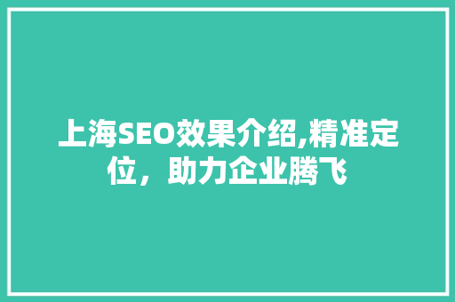 上海SEO效果介绍,精准定位，助力企业腾飞