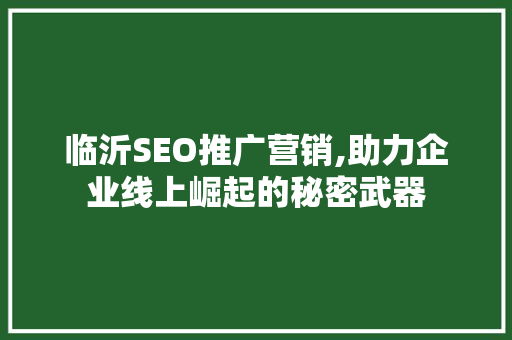 临沂SEO推广营销,助力企业线上崛起的秘密武器