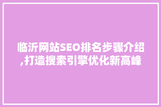 临沂网站SEO排名步骤介绍,打造搜索引擎优化新高峰