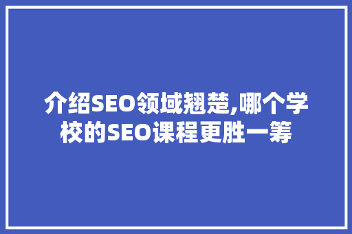 介绍SEO领域翘楚,哪个学校的SEO课程更胜一筹
