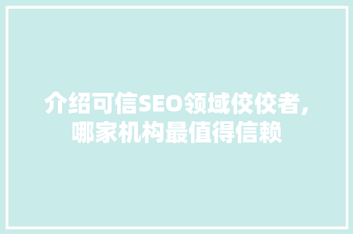 介绍可信SEO领域佼佼者,哪家机构最值得信赖  第1张