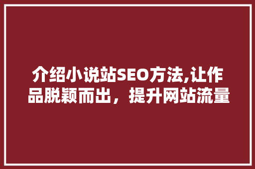 介绍小说站SEO方法,让作品脱颖而出，提升网站流量