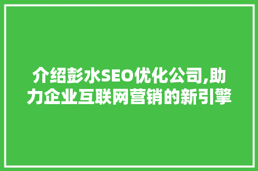 介绍彭水SEO优化公司,助力企业互联网营销的新引擎