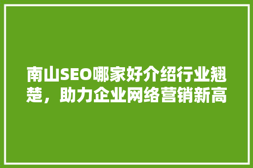 南山SEO哪家好介绍行业翘楚，助力企业网络营销新高度
