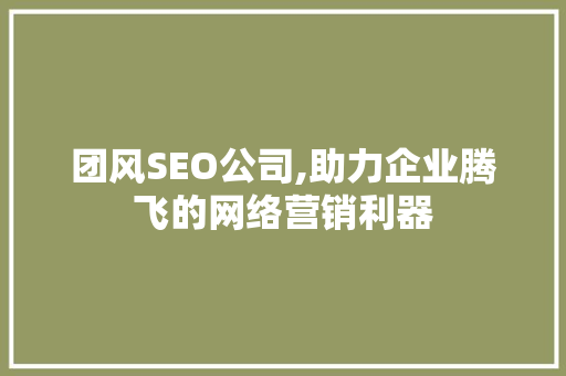 团风SEO公司,助力企业腾飞的网络营销利器