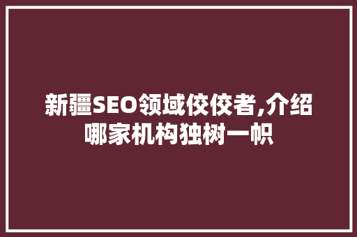 新疆SEO领域佼佼者,介绍哪家机构独树一帜