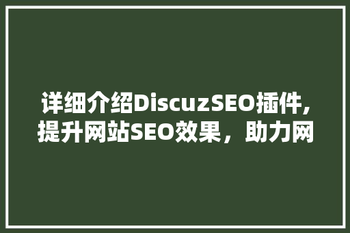 详细介绍DiscuzSEO插件,提升网站SEO效果，助力网站流量翻倍