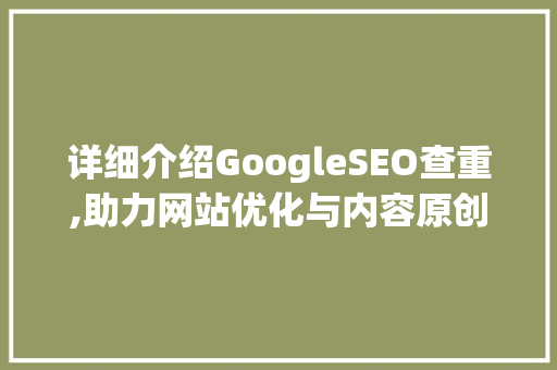 详细介绍GoogleSEO查重,助力网站优化与内容原创性提升