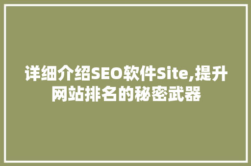 详细介绍SEO软件Site,提升网站排名的秘密武器