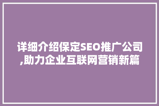 详细介绍保定SEO推广公司,助力企业互联网营销新篇章