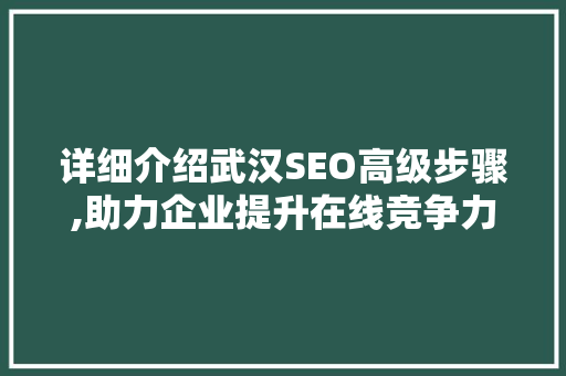 详细介绍武汉SEO高级步骤,助力企业提升在线竞争力