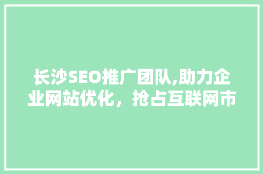 长沙SEO推广团队,助力企业网站优化，抢占互联网市场先机  第1张