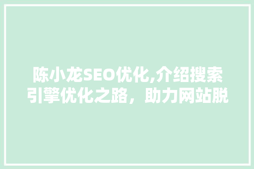 陈小龙SEO优化,介绍搜索引擎优化之路，助力网站脱颖而出