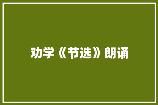 IT源代码现代软件开发的基石  第1张