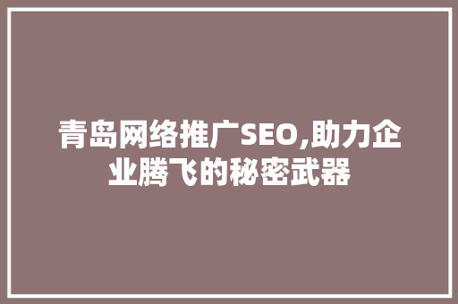 青岛网络推广SEO,助力企业腾飞的秘密武器