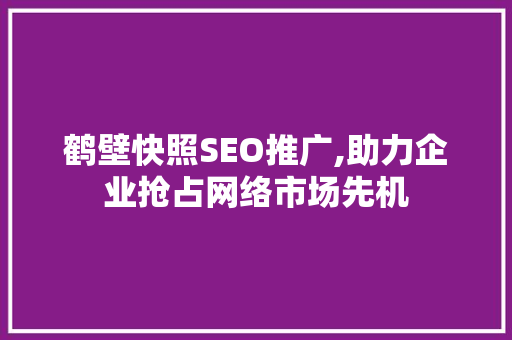 鹤壁快照SEO推广,助力企业抢占网络市场先机