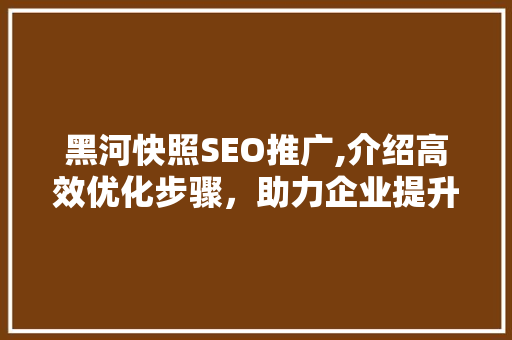 黑河快照SEO推广,介绍高效优化步骤，助力企业提升网络曝光度