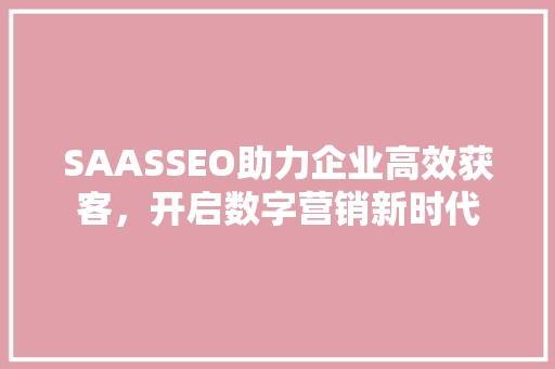 SAASSEO助力企业高效获客，开启数字营销新时代
