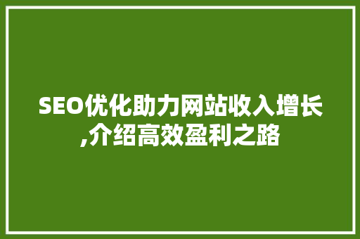 SEO优化助力网站收入增长,介绍高效盈利之路