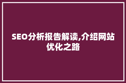 SEO分析报告解读,介绍网站优化之路
