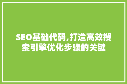 SEO基础代码,打造高效搜索引擎优化步骤的关键