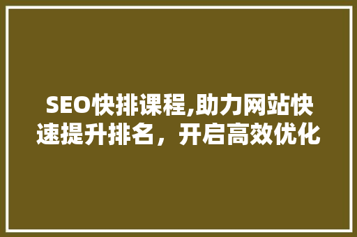 SEO快排课程,助力网站快速提升排名，开启高效优化之路  第1张