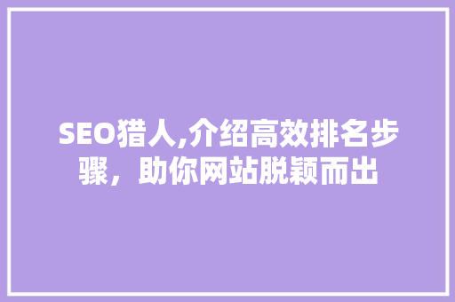 SEO猎人,介绍高效排名步骤，助你网站脱颖而出