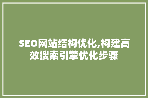 SEO网站结构优化,构建高效搜索引擎优化步骤