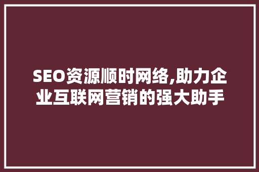 SEO资源顺时网络,助力企业互联网营销的强大助手