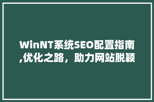 WinNT系统SEO配置指南,优化之路，助力网站脱颖而出