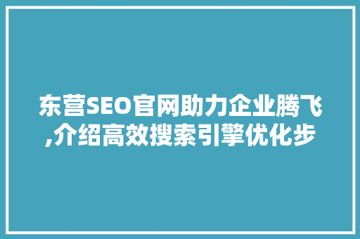 东营SEO官网助力企业腾飞,介绍高效搜索引擎优化步骤