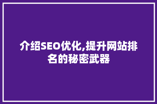 介绍SEO优化,提升网站排名的秘密武器