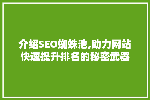 介绍SEO蜘蛛池,助力网站快速提升排名的秘密武器