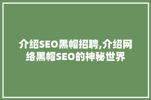 介绍SEO黑帽招聘,介绍网络黑帽SEO的神秘世界
