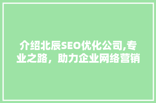 介绍北辰SEO优化公司,专业之路，助力企业网络营销腾飞