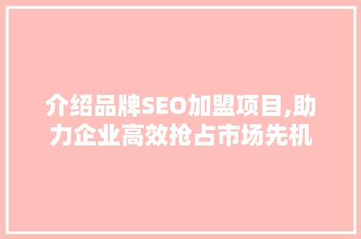 介绍品牌SEO加盟项目,助力企业高效抢占市场先机