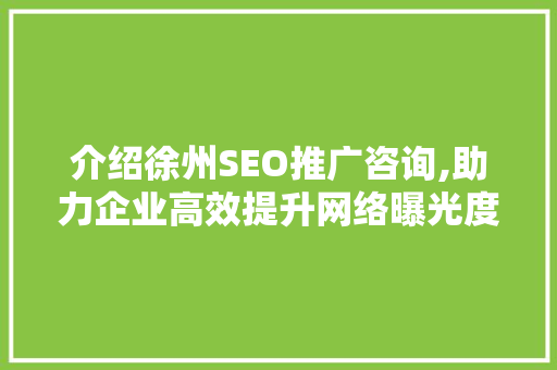 介绍徐州SEO推广咨询,助力企业高效提升网络曝光度  第1张