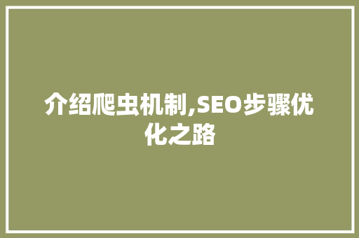 介绍爬虫机制,SEO步骤优化之路