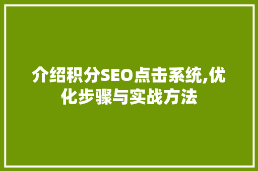 介绍积分SEO点击系统,优化步骤与实战方法