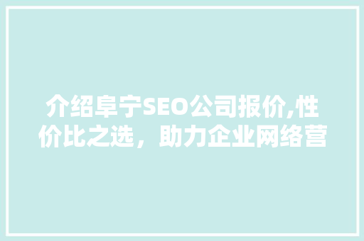 介绍阜宁SEO公司报价,性价比之选，助力企业网络营销腾飞