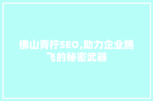 佛山青柠SEO,助力企业腾飞的秘密武器