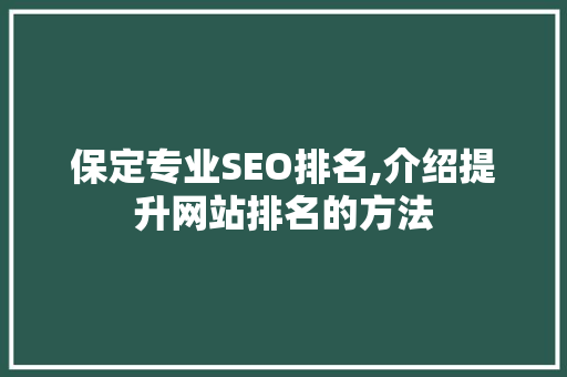 保定专业SEO排名,介绍提升网站排名的方法