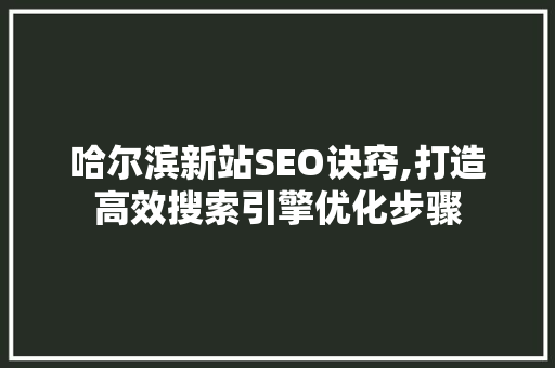哈尔滨新站SEO诀窍,打造高效搜索引擎优化步骤