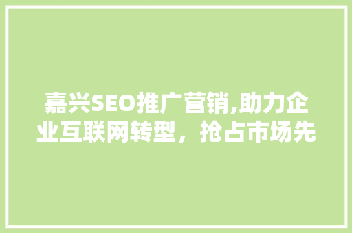 嘉兴SEO推广营销,助力企业互联网转型，抢占市场先机