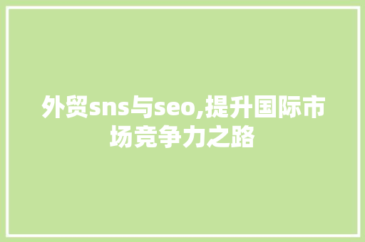 外贸sns与seo,提升国际市场竞争力之路