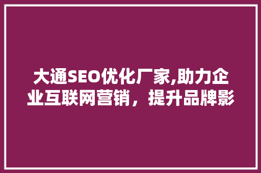 大通SEO优化厂家,助力企业互联网营销，提升品牌影响力  第1张