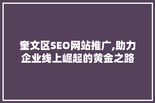 奎文区SEO网站推广,助力企业线上崛起的黄金之路
