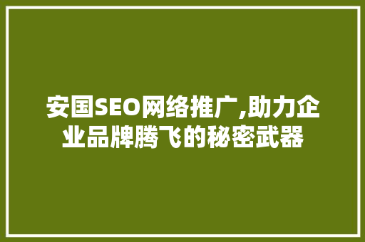 安国SEO网络推广,助力企业品牌腾飞的秘密武器